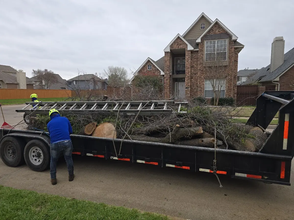 Expert Tree Removal with proper safety equipment in Ringold
